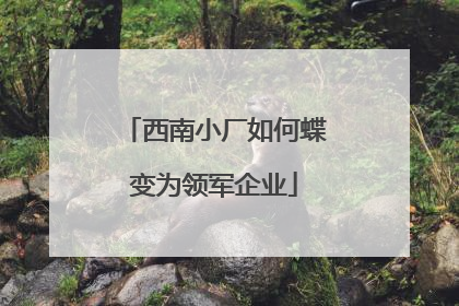 西南小厂如何蝶变为领军企业