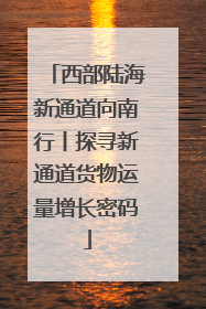 西部陆海新通道向南行丨探寻新通道货物运量增长密码
