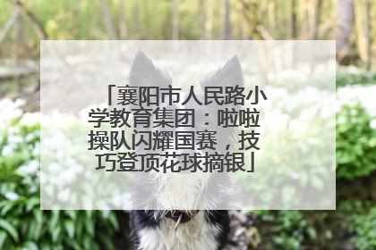 襄阳市人民路小学教育集团：啦啦操队闪耀国赛，技巧登顶花球摘银