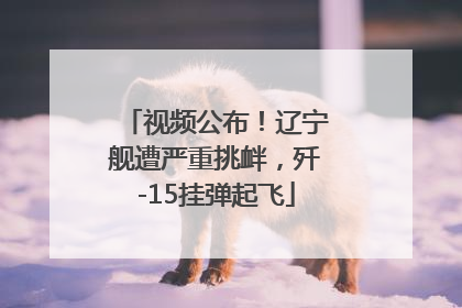 视频公布！辽宁舰遭严重挑衅，歼-15挂弹起飞