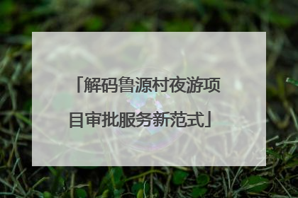 解码鲁源村夜游项目审批服务新范式