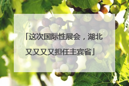 这次国际性展会，湖北又又又又担任主宾省