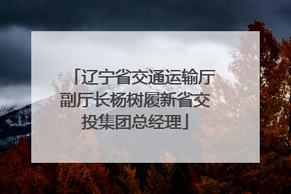 辽宁省交通运输厅副厅长杨树履新省交投集团总经理
