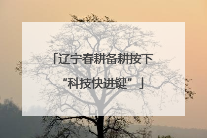 辽宁春耕备耕按下“科技快进键”