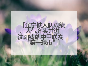 辽宁铁人队成绩、人气齐头并进 沈阳铸就中甲联赛“第一球市”
