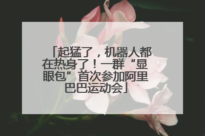 起猛了，机器人都在热身了！一群“显眼包”首次参加阿里巴巴运动会