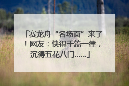 赛龙舟“名场面”来了！网友：快得千篇一律，沉得五花八门……