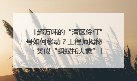 超万吨的“湾区伶仃”号如何移动？工程师揭秘：类似“蚂蚁托大象”