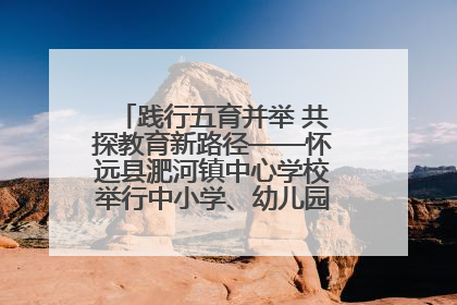 践行五育并举 共探教育新路径——怀远县淝河镇中心学校举行中小学、幼儿园班主任论坛活动