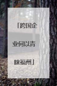 跨国企业何以青睐福州