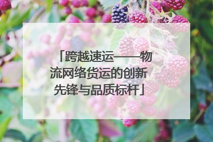 跨越速运——物流网络货运的创新先锋与品质标杆