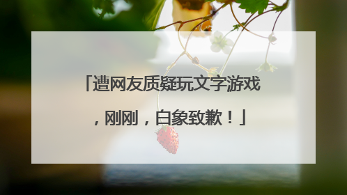 遭网友质疑玩文字游戏，刚刚，白象致歉！