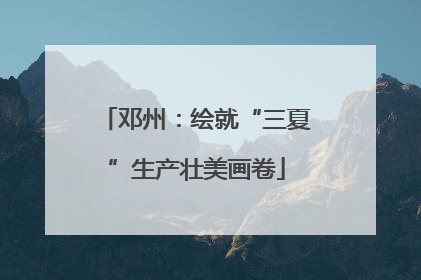 邓州：绘就“三夏”生产壮美画卷