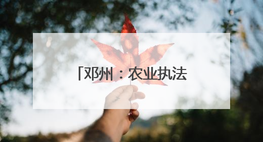 邓州：农业执法在行动 护航“三夏”保丰收