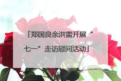 郑国良余洪雷开展“七一”走访慰问活动