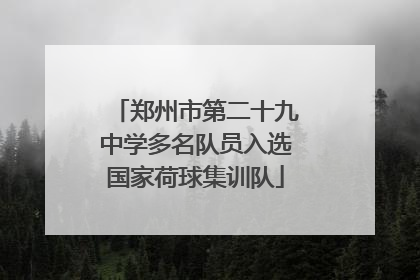 郑州市第二十九中学多名队员入选国家荷球集训队