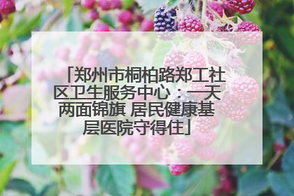 郑州市桐柏路郑工社区卫生服务中心：一天两面锦旗 居民健康基层医院守得住