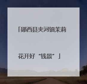郧西县夹河镇茉莉花开好“钱景”