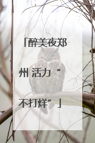 醉美夜郑州 活力“不打烊”