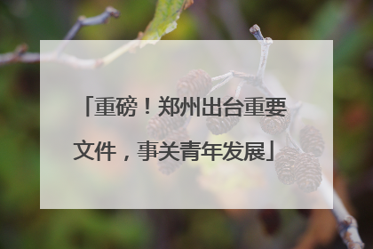 重磅！郑州出台重要文件，事关青年发展