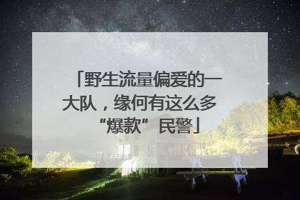 野生流量偏爱的一大队，缘何有这么多“爆款”民警