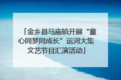 金乡县马庙镇开展“童心同梦同成长”运河大集文艺节目汇演活动