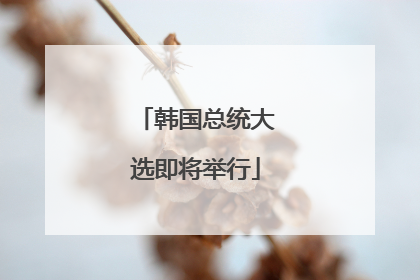 韩国总统大选即将举行