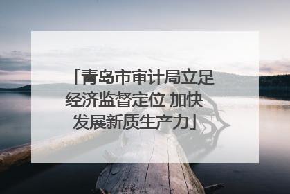 青岛市审计局立足经济监督定位 加快发展新质生产力