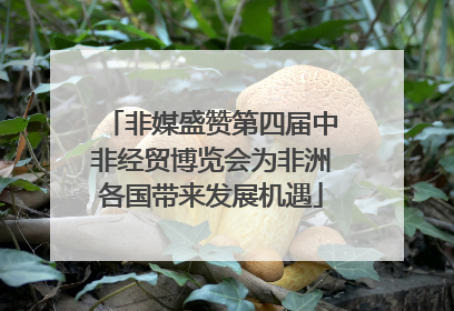 非媒盛赞第四届中非经贸博览会为非洲各国带来发展机遇