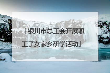 银川市总工会开展职工子女家乡研学活动