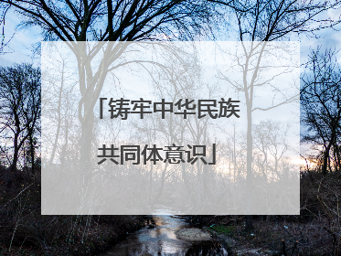 铸牢中华民族共同体意识