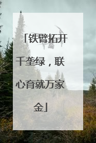 铁臂拓开千垄绿，联心育就万家金