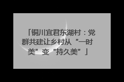铜川宜君东湖村：党群共建让乡村从“一时美”变“持久美”