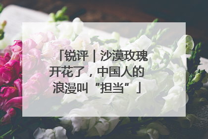 锐评｜沙漠玫瑰开花了，中国人的浪漫叫“担当”