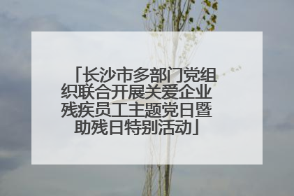 长沙市多部门党组织联合开展关爱企业残疾员工主题党日暨助残日特别活动