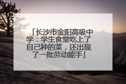 长沙市金阳高级中学：学生食堂吃上了自己种的菜，还出现了一批劳动能手