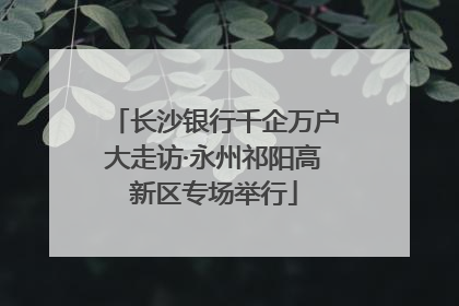 长沙银行千企万户大走访·永州祁阳高新区专场举行