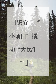 镇安：“小项目”撬动“大民生”
