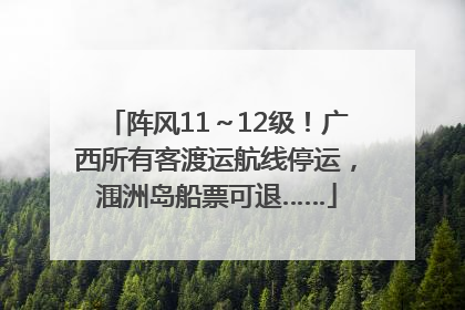 阵风11～12级！广西所有客渡运航线停运，涠洲岛船票可退……
