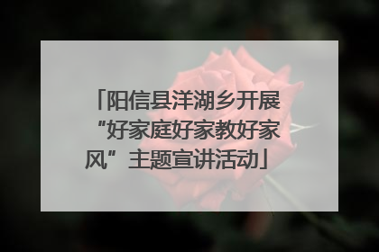 阳信县洋湖乡开展“好家庭好家教好家风”主题宣讲活动