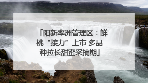 阳新率洲管理区：鲜桃“接力”上市 多品种拉长甜蜜采摘期