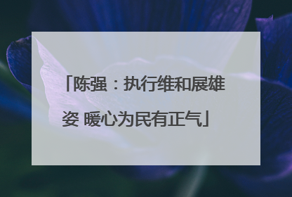 陈强：执行维和展雄姿 暖心为民有正气