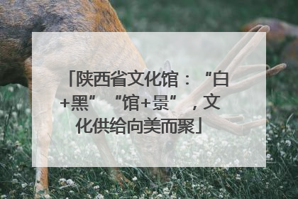 陕西省文化馆：“白+黑”“馆+景”，文化供给向美而聚