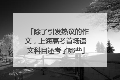 除了引发热议的作文，上海高考首场语文科目还考了哪些