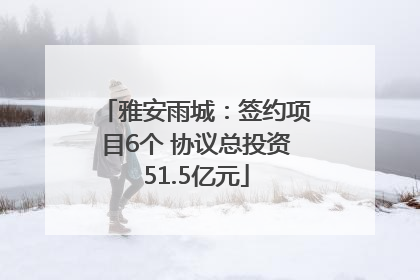 雅安雨城：签约项目6个 协议总投资51.5亿元