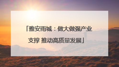 雅安雨城：做大做强产业支撑 推动高质量发展