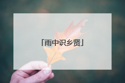雨中识乡贤
