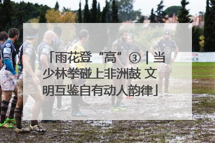 雨花登“高”③｜当少林拳碰上非洲鼓 文明互鉴自有动人韵律