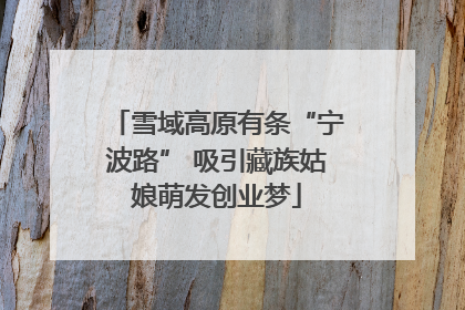 雪域高原有条“宁波路” 吸引藏族姑娘萌发创业梦