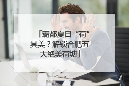 霸都夏日“荷”其美？解锁合肥五大绝美荷塘
